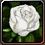 OLDUSKO Event Token